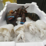 La Fenice Nourriture