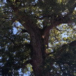 Parco Verde Exterior