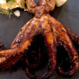 Fish Experience Comida