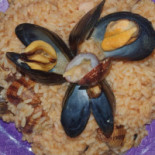 Zenit Comida