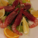 Zenit Comida