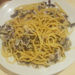 Zenit Comida