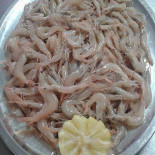 Il Vascello food