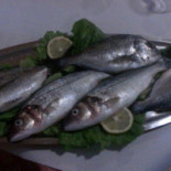Il Vascello food