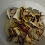 Rem Cibo