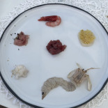 Elite Cucina Di Mare Bebida