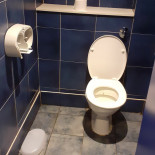 Lievitiamo Bebida