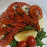 Nettuno Comida