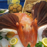 Falco Rosso Nourriture