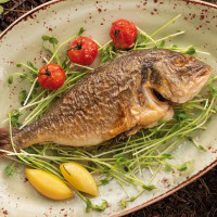 Orti16 food