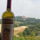 La Casaccia Bebida
