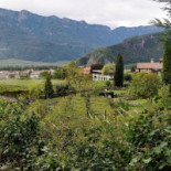 Pension Flora Extérieur