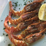 Bilacus Comida