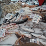 Ittica Del Golfo Carte