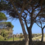 Sa Capanizza Beach Snack Extérieur