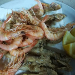 Rais Gerbi Nourriture