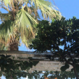 Lido Tricheco Exterior
