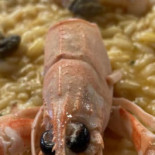 Il Casello Comida