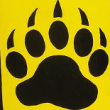 Piccio Logo