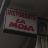 Moia Extérieur