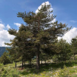 Rifugio Mongioie Exterior