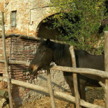 Agriturismo S.alessandro Esterno