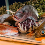 I Tre Delfini Comida