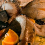 I Tre Delfini Comida