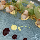 Cilento Boisson