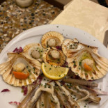 Ai Dogi Comida