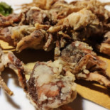 Ai Dogi Comida