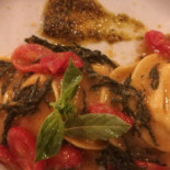 Tortuga Comida