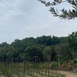 Serrocroce Extérieur