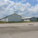Datterino Exterior