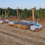 Agriturismo Il Vecchio Portico Extérieur
