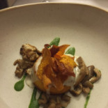 Opera Terza Comida