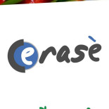 Cerase Logo