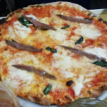 Magnifica Cibo