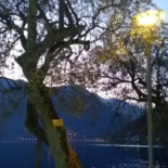 Barracuda Cafe Extérieur