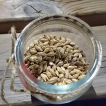 Birrificio Grigne Bebida