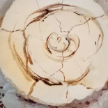 Sapori E Bonta Nourriture