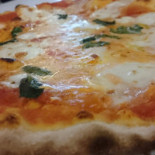 Magnifica Cibo