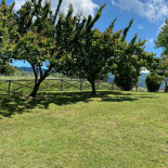 Il Terebinto Exterior