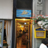 Aurora Oriental