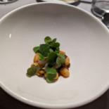 Paca Cibo