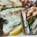 Anema E Core2.0 food
