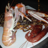 Dioniso Fish Nourriture
