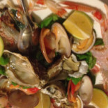 Dioniso Fish Nourriture