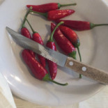 Degusteria Bebida