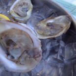 Apollinare Boisson